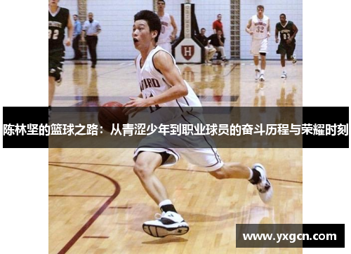 陈林坚的篮球之路：从青涩少年到职业球员的奋斗历程与荣耀时刻