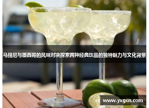 马提尼与墨西哥的风味对决探索两种经典饮品的独特魅力与文化背景
